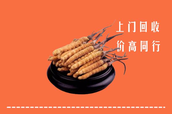 高价求购：那坡县回收散虫草