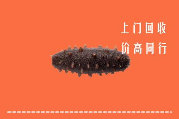 高价求购：那坡县回收海参