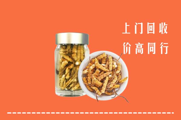 那坡县回收冬虫夏草